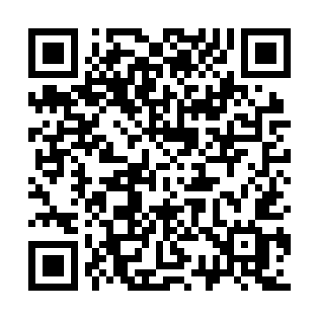 QR code for 339NUG