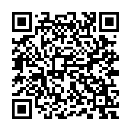 QR code for 349POO