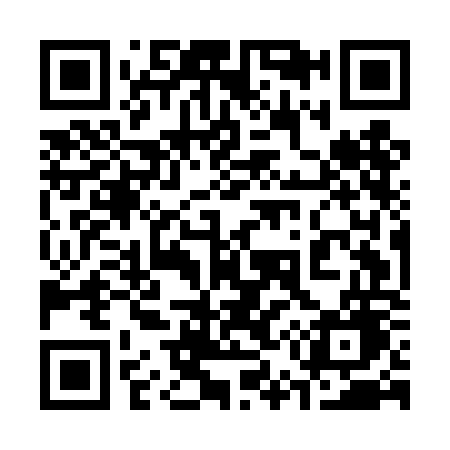 QR code for 355DOG