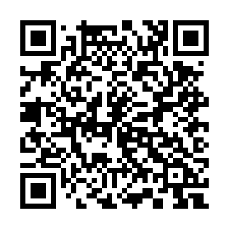 QR code for 370DZF