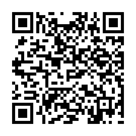 QR code for 375IKT