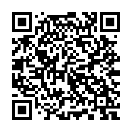 QR code for 375PPO