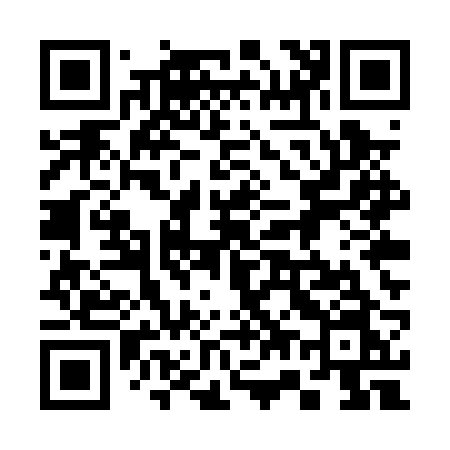 QR code for 375PRN