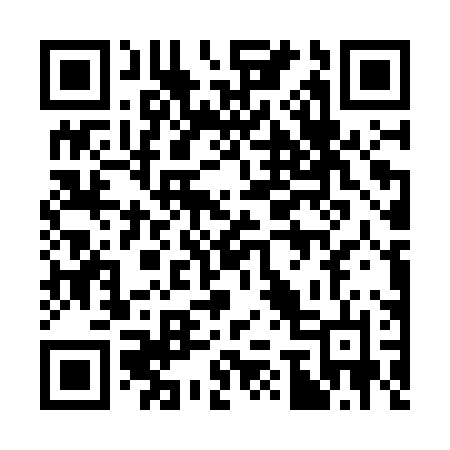 QR code for 376OPN