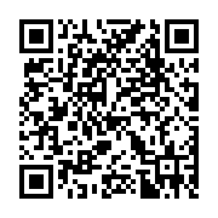 QR code for 377POS