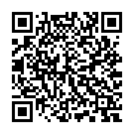 QR code for 377QZR