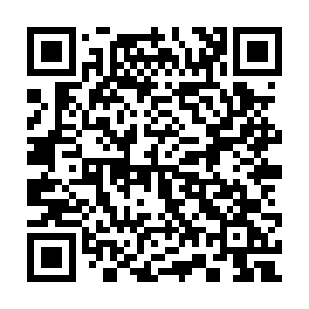 QR code for 378PVG