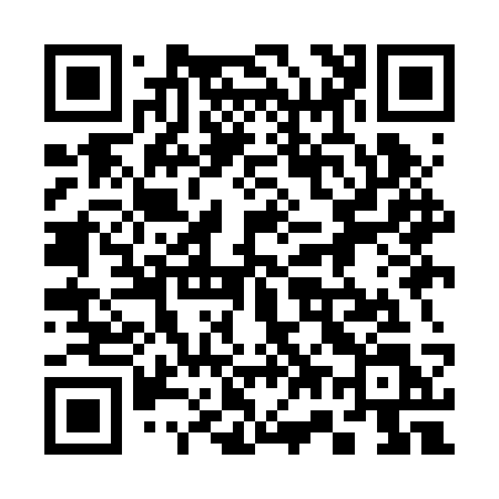 QR code for 379BSL