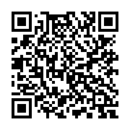 QR code for 379NDD