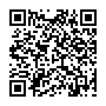 QR code for 379SFF
