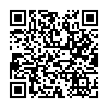 QR code for 379SFW