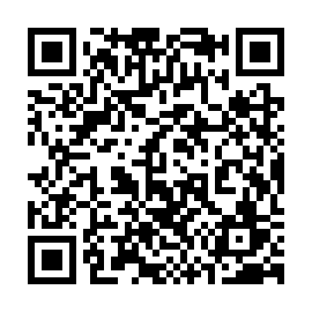 QR code for 379SSV