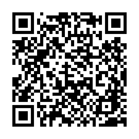 QR code for 379TNG