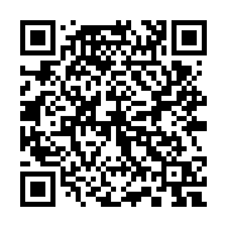 QR code for 379VSQ