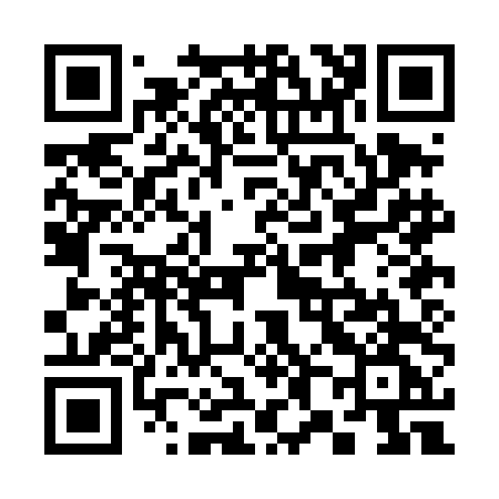 QR code for 380DDG