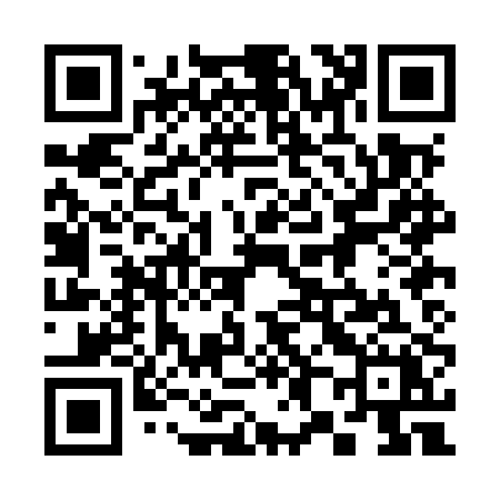 QR code for 380MPX