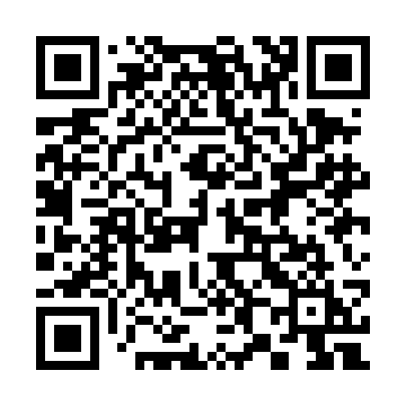 QR code for 381DCI