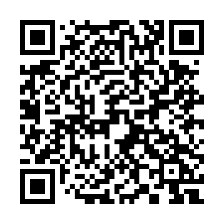 QR code for 381DTG
