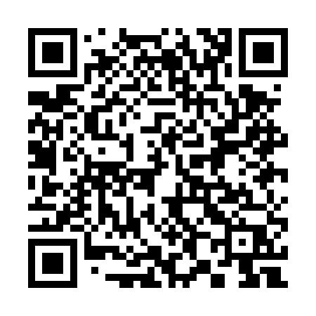 QR code for 381DUP