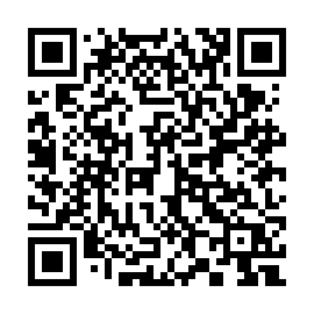 QR code for 381FJP