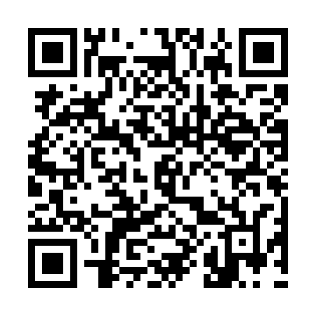 QR code for 381GSN