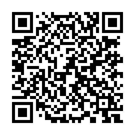 QR code for 381LFX