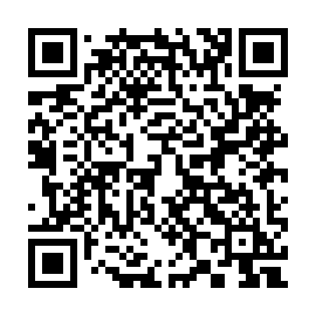 QR code for 381LYI