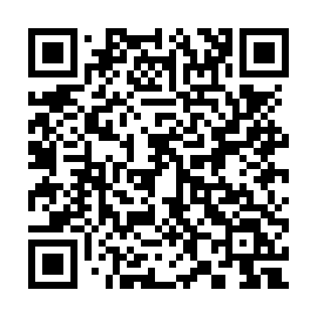 QR code for 381NTL