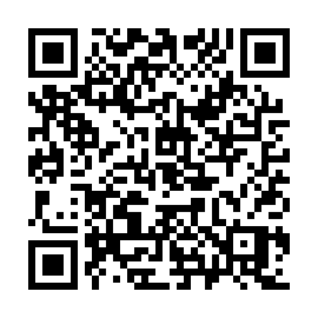 QR code for 381QPP