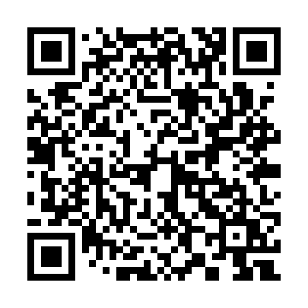 QR code for 381QZU