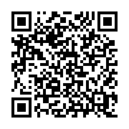 QR code for 381RDD