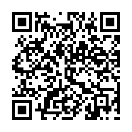 QR code for 381VMG