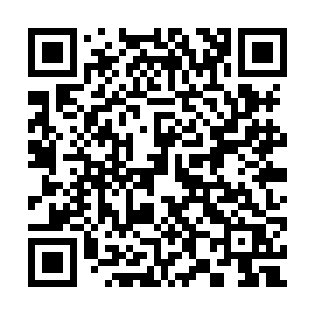 QR code for 381XJR