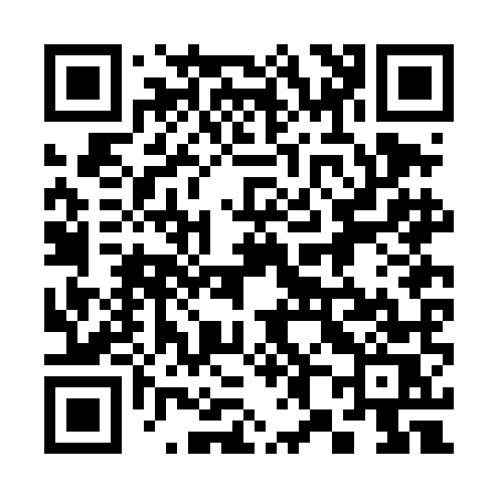 QR code for 382DMS