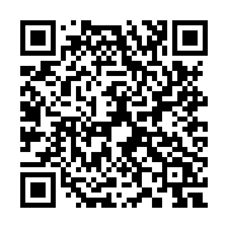 QR code for 382HPV
