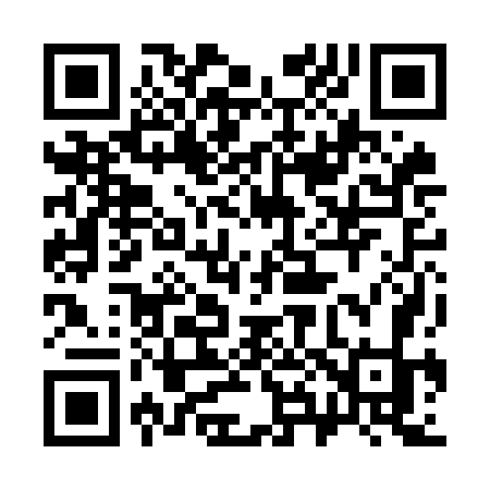 QR code for 382OGK