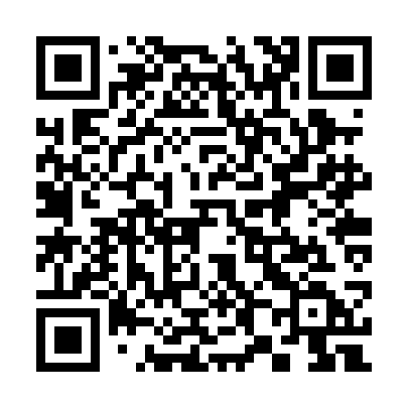 QR code for 382PCD