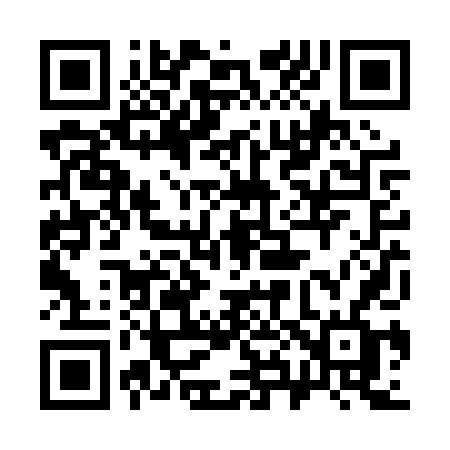 QR code for 382PTF