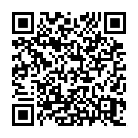 QR code for 382SDU