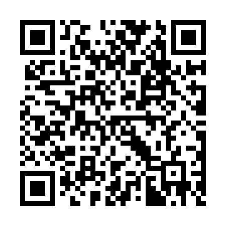 QR code for 382YJG