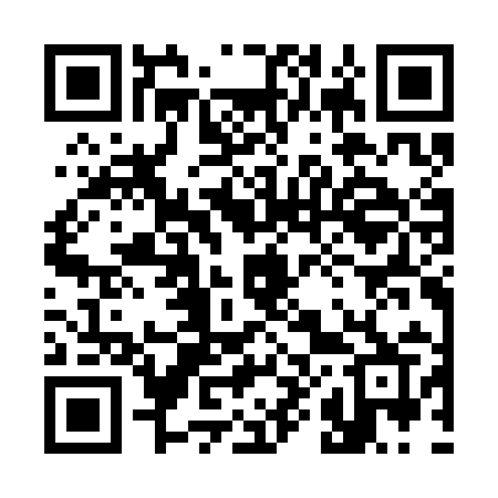 QR code for 383CIR