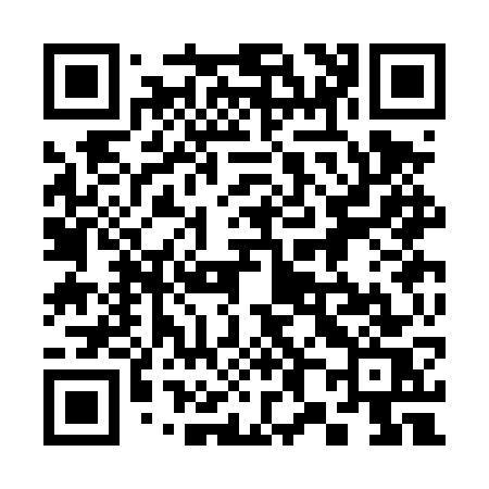 QR code for 383DWS