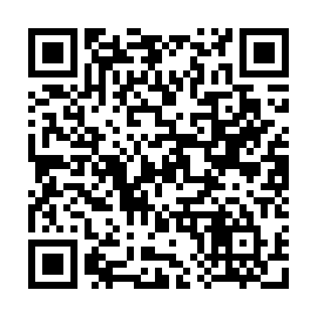 QR code for 383GPU