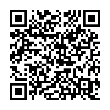 QR code for 383IJC