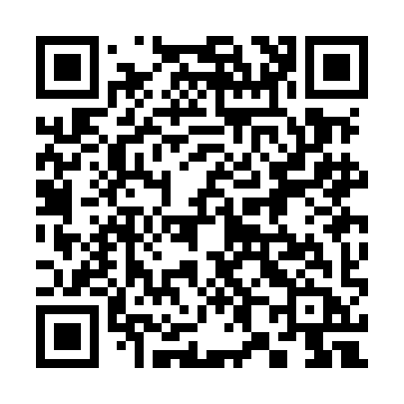 QR code for 383MIB