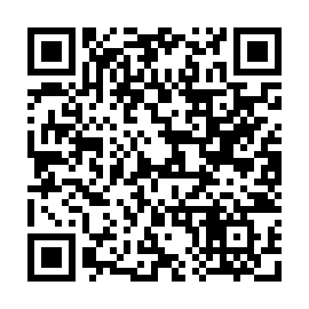 QR code for 383NZW