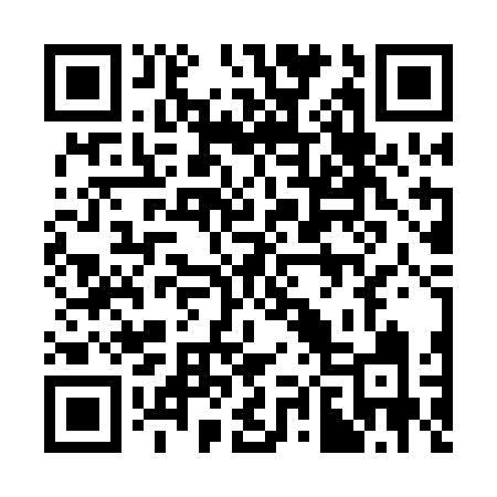 QR code for 383PFI