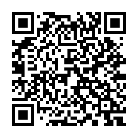 QR code for 383RUE