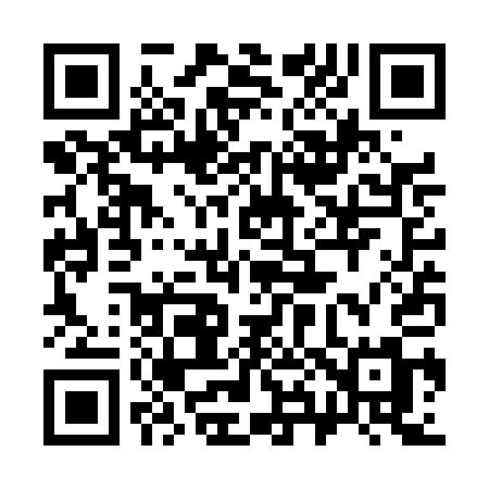 QR code for 383TAM