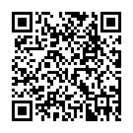 QR code for 383TIR